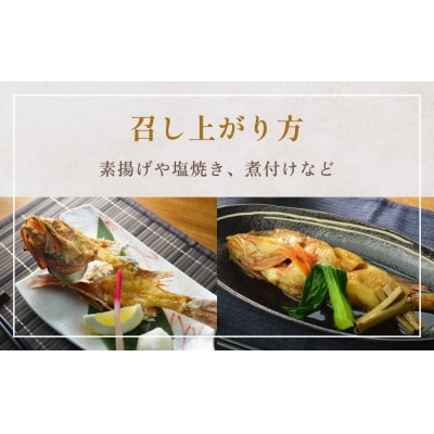 冷凍きちじ(きんき)　5尾 吉次 キンキ 魚 煮物 塩焼き 素揚げ おかず 魚 お魚 美味しい