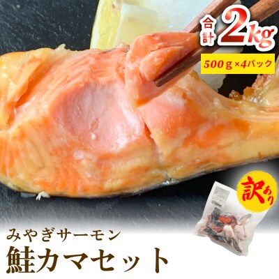 訳あり みやぎサーモン鮭カマセット さけ 銀鮭 切り身 冷凍 焼き魚 おかず おつまみ 美味しい 