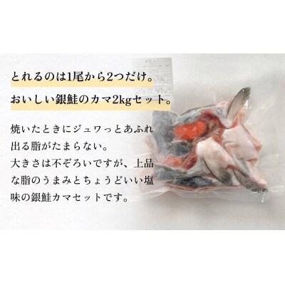 訳あり みやぎサーモン鮭カマセット さけ 銀鮭 切り身 冷凍 焼き魚 おかず おつまみ 美味しい 