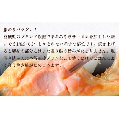 訳あり みやぎサーモン鮭カマセット さけ 銀鮭 切り身 冷凍 焼き魚 おかず おつまみ 美味しい 