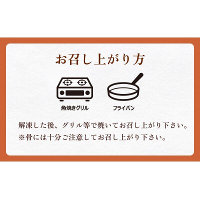 訳あり みやぎサーモン鮭カマセット さけ 銀鮭 切り身 冷凍 焼き魚 おかず おつまみ 美味しい 
