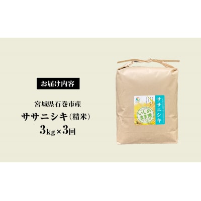 <定期便3回・毎月発送> ササニシキ いしのまき産米 精米 9kg 3kg×3回