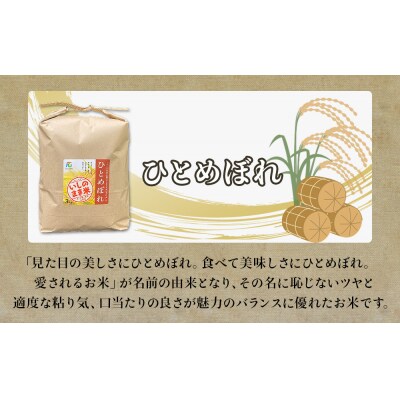 <定期便4回・毎月発送> ひとめぼれ いしのまき産米 精米 12kg 3kg×4回