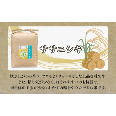 令和6年産 米 ササニシキ 定期便 3kg × 10回 お米 精米 白米 環境保全米 ご飯 こめ