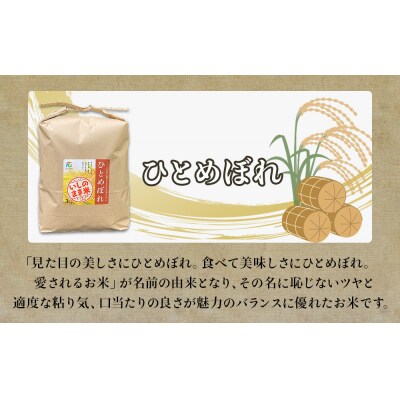 令和6年産 米 ひとめぼれ 定期便 3kg × 10回 お米 精米 白米 環境保全米 ご飯 こめ