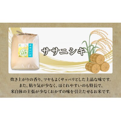 令和6年産 米 ササニシキ 定期便 5kg × 10回 お米 精米 白米 環境保全米 ご飯 こめ