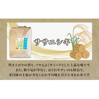 令和6年産 米 ササニシキ 定期便 10kg × 10回 お米 精米 白米 環境保全米 ご飯 こめ