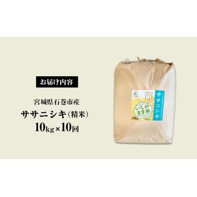 令和6年産 米 ササニシキ 定期便 10kg × 10回 お米 精米 白米 環境保全米 ご飯 こめ