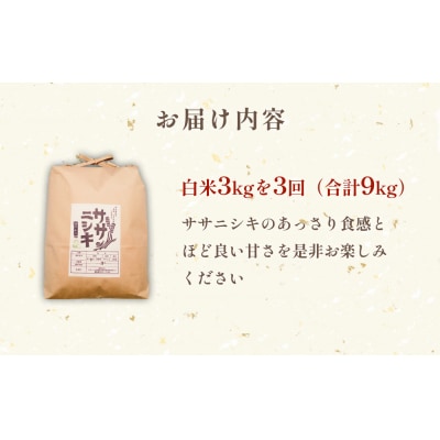 特別栽培米 ササニシキ 白米 3kg × 3回 定期便 (合計9kg)