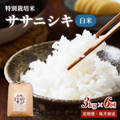 特別栽培米 ササニシキ 白米 3kg × 6回 定期便 (合計18kg)