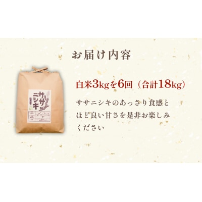 特別栽培米 ササニシキ 白米 3kg × 6回 定期便 (合計18kg)