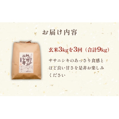 特別栽培米 ササニシキ 玄米 3kg × 3回 定期便 (合計9kg) 毎月配送 お米 米 宮城県産