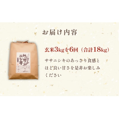 特別栽培米 ササニシキ 玄米 3kg × 6回 定期便 (合計18kg) 毎月配送 お米 米 宮城県