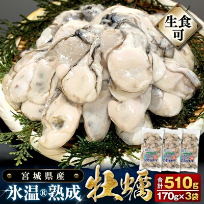 【先行受付】宮城県産 かき 氷温熟成 牡蠣 生食用(冷凍)170g×3袋 510g 生食 むき身