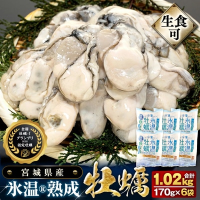 宮城県産 かき 氷温熟成 牡蠣 生食用 冷凍170g×6袋 約1.02kg まるたか水産 石巻応援