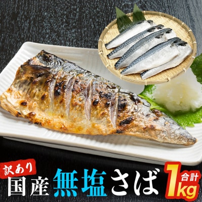 訳あり 無塩サバフィレ 1.0kg (10枚前後) 冷凍 さば 鯖 不揃い 魚 お魚 焼き魚