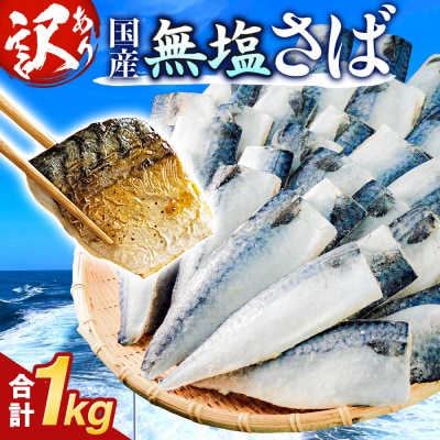 訳あり 無塩サバフィレ 1.0kg (10枚前後) 冷凍 さば 鯖 不揃い 魚 お魚 焼き魚