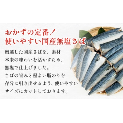訳あり 無塩サバフィレ1.0kg(10枚前後) 冷凍 さば 鯖 不揃い 魚 お魚 焼き魚 石巻応援