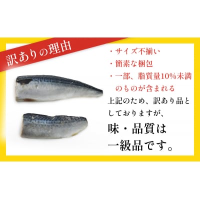 訳あり 無塩サバフィレ 1.0kg (10枚前後) 冷凍 さば 鯖 不揃い 魚 お魚 焼き魚