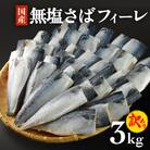 訳あり 無塩サバフィレ3.0kg (30枚前後)  冷凍 さば 鯖 不揃い お魚 焼き魚 石巻応援