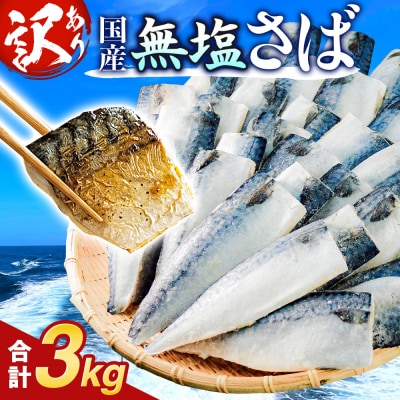 訳あり 無塩サバフィレ 3.0kg (30枚前後)  冷凍 さば 鯖 不揃い お魚 焼き魚