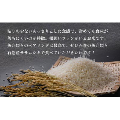 令和7年産 石巻産ササニシキ(精米)5kg 米 白米 コメ お米 ご飯