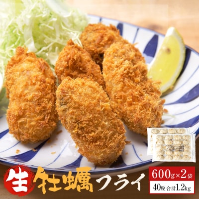 三陸産カキフライ600g(20粒入)×2パックセット 冷凍 牡蠣 かき 大粒 海鮮 貝 揚げ物
