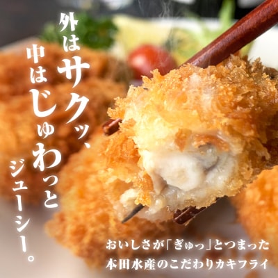 三陸産カキフライ600g(20粒入)×2パックセット 冷凍 牡蠣 かき 大粒 海鮮 貝 揚げ物