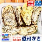レンジで簡単調理 殻付きかきレンジ 3P 簡単調理 BBQ 牡蠣 カキ 蒸し牡蠣 三陸 海鮮 魚介