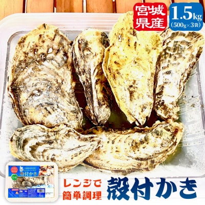 レンジで簡単調理 殻付きかきレンジ 3P 簡単調理 BBQ 牡蠣 カキ 蒸し牡蠣 三陸 海鮮 魚介
