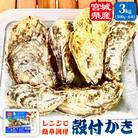 レンジで簡単調理 殻付きかきレンジ6P  簡単調理 BBQ 牡蠣 カキ 蒸し牡蠣 三陸 海鮮 魚介