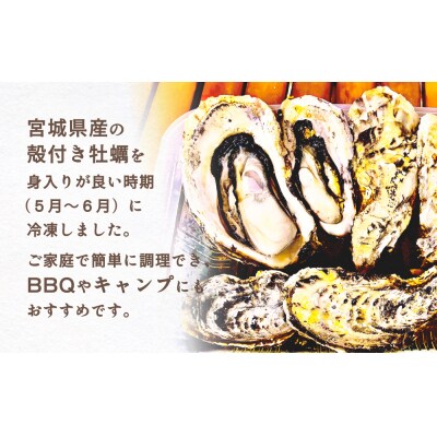 レンジで簡単調理 殻付きかきレンジ6P  簡単調理 BBQ 牡蠣 カキ 蒸し牡蠣 三陸 海鮮 魚介