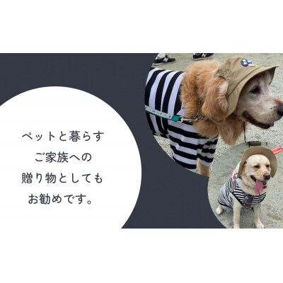 きのこ アウトドアハット　ネイビーM ペット グッズ 撥水 帽子 キャップ 男の子 女の子