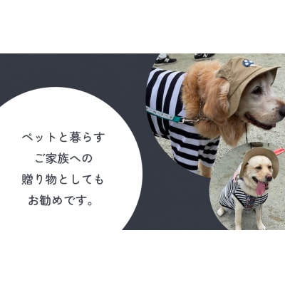 きのこ アウトドアハット　ネイビーL ペット グッズ 撥水 帽子 キャップ 男の子 女の子
