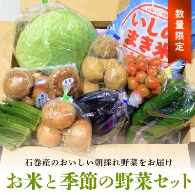 <数量限定>石巻産 お米と季野菜セット 朝採れ 旬の野菜 季節の野菜 お野菜 米 詰め合わせ 新鮮