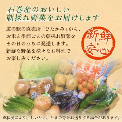 石巻産 お米と季野菜セット 朝採れ 旬の野菜 季節の野菜 お野菜 米 詰め合わせ 新鮮