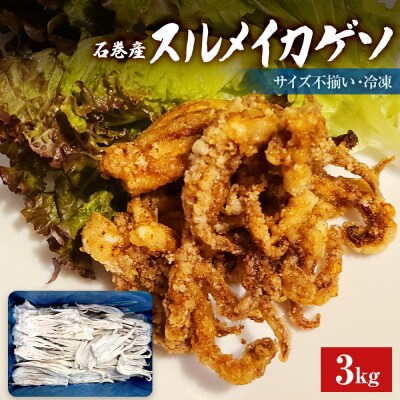 石巻市産スルメイカゲソ3kg 冷凍 国産 スルメイカ いか イカ イカゲソ ゲソ天 バラ冷凍 宮城県