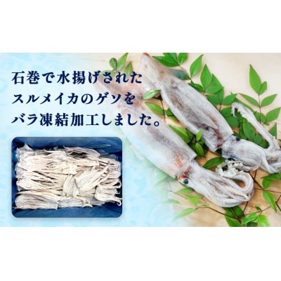 石巻市産スルメイカゲソ3kg 冷凍 国産 スルメイカ いか イカ イカゲソ ゲソ天 バラ冷凍 宮城県