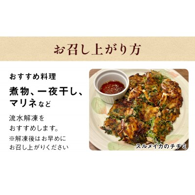 石巻市産スルメイカゲソ3kg 冷凍 国産 スルメイカ いか イカ イカゲソ ゲソ天 バラ冷凍 宮城県