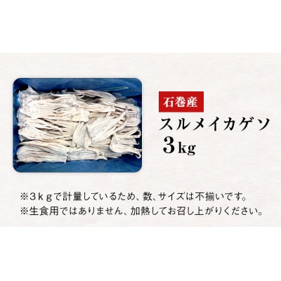 石巻市産スルメイカゲソ3kg 冷凍 国産 スルメイカ いか イカ イカゲソ ゲソ天 バラ冷凍 宮城県