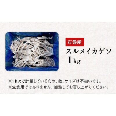石巻市産スルメイカゲソ1kg 冷凍 国産 スルメイカ いか 下足 イカ イカゲソ カルパッチョ