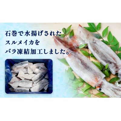 石巻市産スルメイカツボ抜き2kg 冷凍 国産 スルメイカ いか イカ魚介類 焼イカ バーベキュー