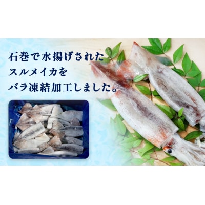 石巻市産スルメイカツボ抜き1kg 冷凍 国産 スルメイカ いか イカ 魚介類 焼イカ バーベキュー