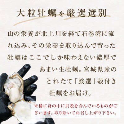 宮城県産 冷凍 殻付き 牡蠣 15個 生食可 小分け カキ かき 生かき 生牡蠣 海鮮 BBQ 濃厚