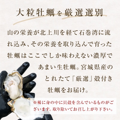 宮城県産 冷凍 殻付き 牡蠣 15個 生食可 小分け カキ かき 生かき 生牡蠣 海鮮 BBQ 濃厚