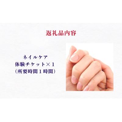 ネイル 基本 お手入れ ケア 体験 チケット ネイルサロン ネイリスト  爪 甘皮 甘皮処理 サロン