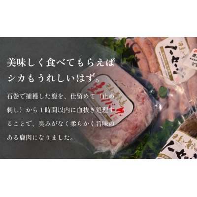 鹿肉ハンバーグソーセージセット 冷凍  ニホンジカ 鹿 鹿肉 シカ肉 肉 お肉 ハンバーグ
