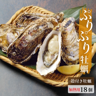 牡蠣 殻付き 18個 加熱調理用 宮城県産 石巻市 かき 冷蔵 蒸し牡蠣 焼き牡蠣