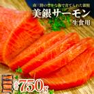 美銀サーモン(生食用)750g 冷凍 切り身 鮭 さけ サケ シャケ 銀鮭 お刺身 カルパッチョ