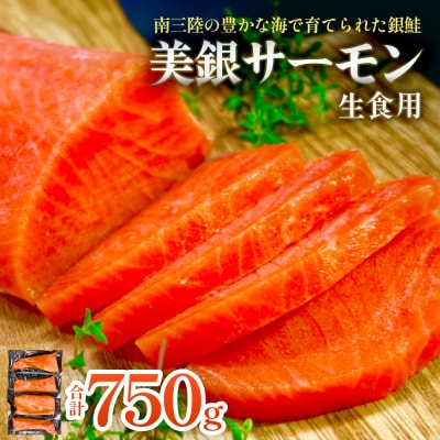 美銀サーモン(生食用)750g 冷凍 切り身 鮭 さけ サケ シャケ 銀鮭 お刺身 カルパッチョ